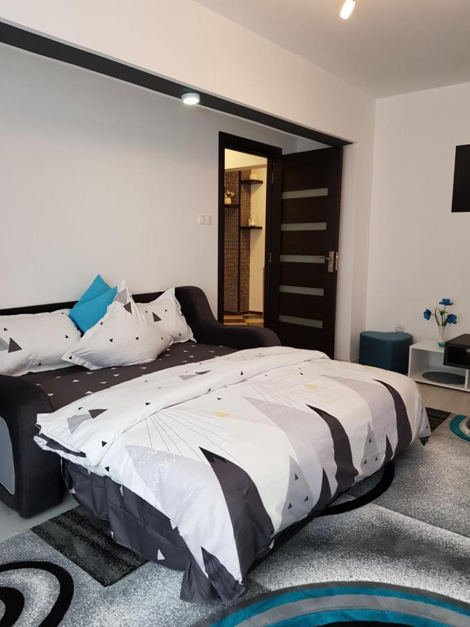 Apartament Sofy2 Băile Herculane Extérieur photo