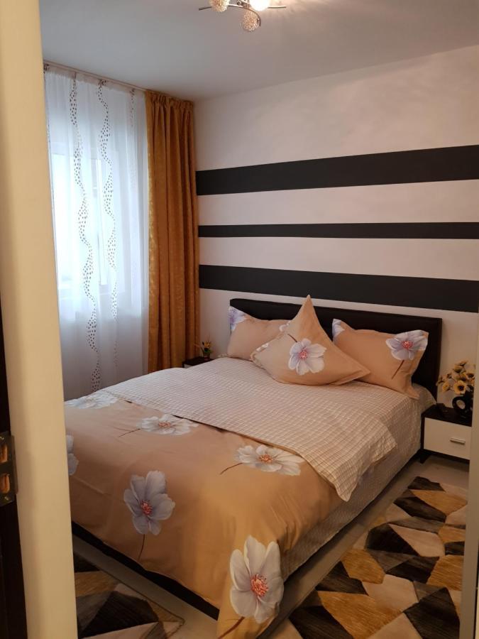 Apartament Sofy2 Băile Herculane Extérieur photo