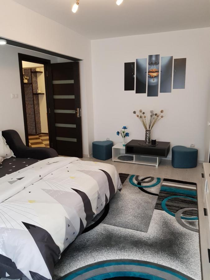 Apartament Sofy2 Băile Herculane Extérieur photo