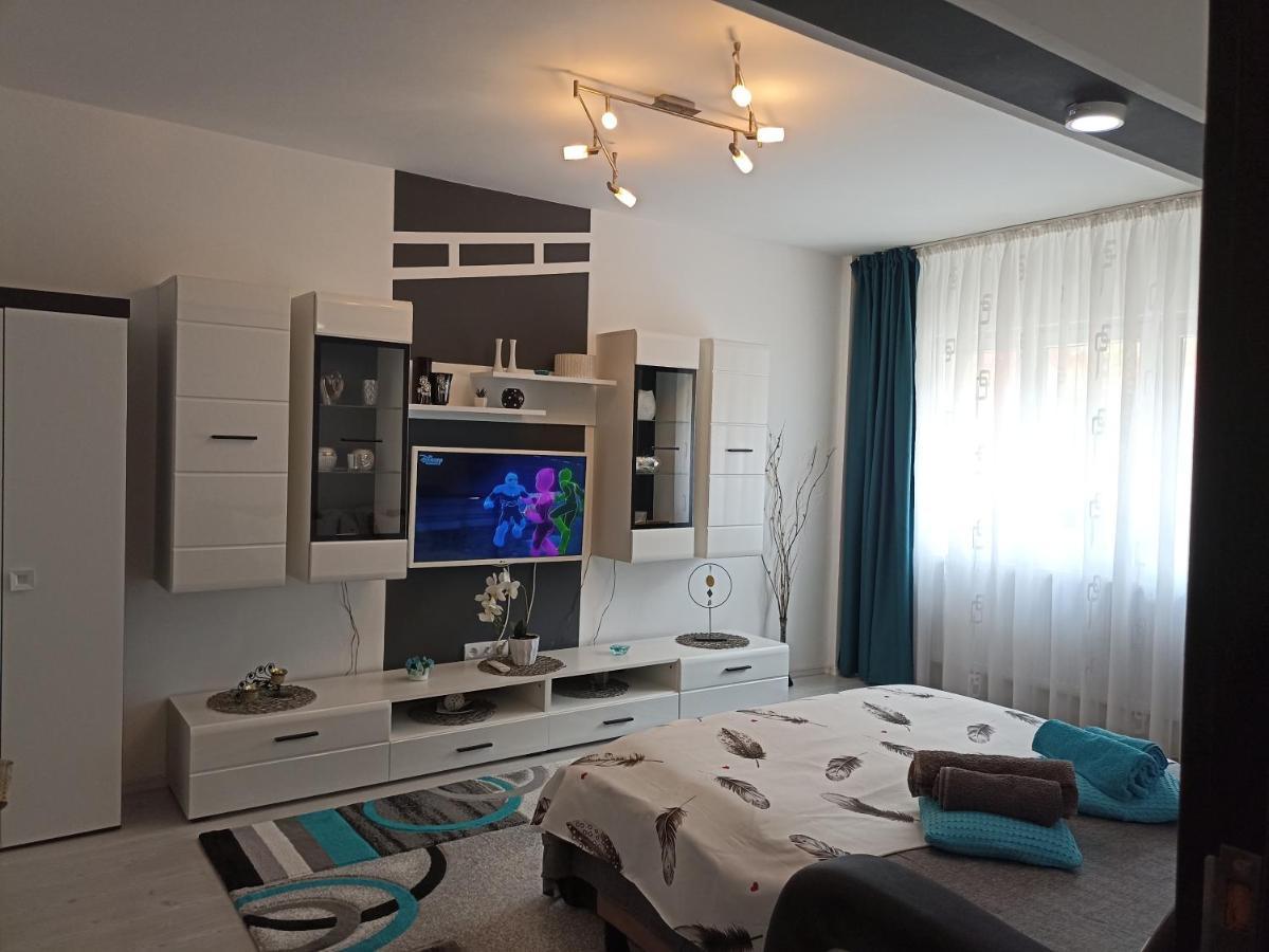 Apartament Sofy2 Băile Herculane Extérieur photo