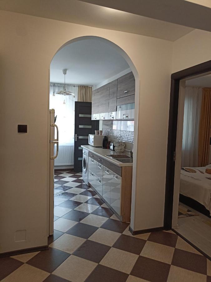 Apartament Sofy2 Băile Herculane Extérieur photo
