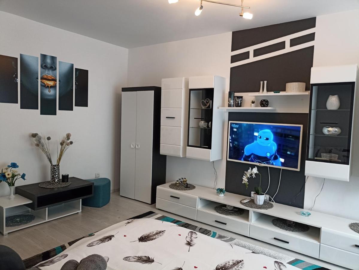 Apartament Sofy2 Băile Herculane Extérieur photo
