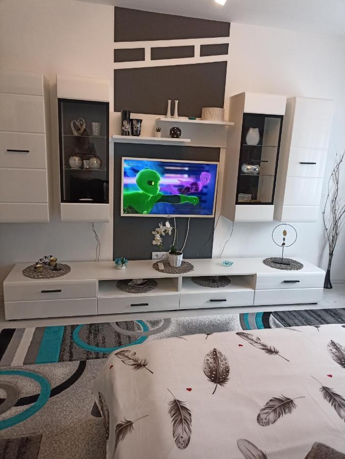 Apartament Sofy2 Băile Herculane Extérieur photo