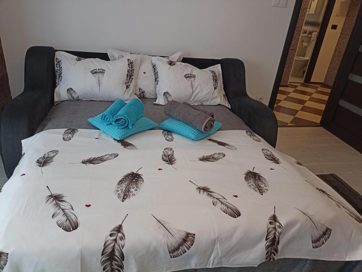 Apartament Sofy2 Băile Herculane Extérieur photo