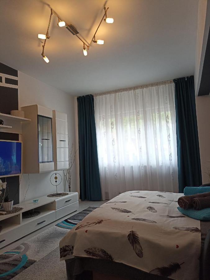 Apartament Sofy2 Băile Herculane Extérieur photo