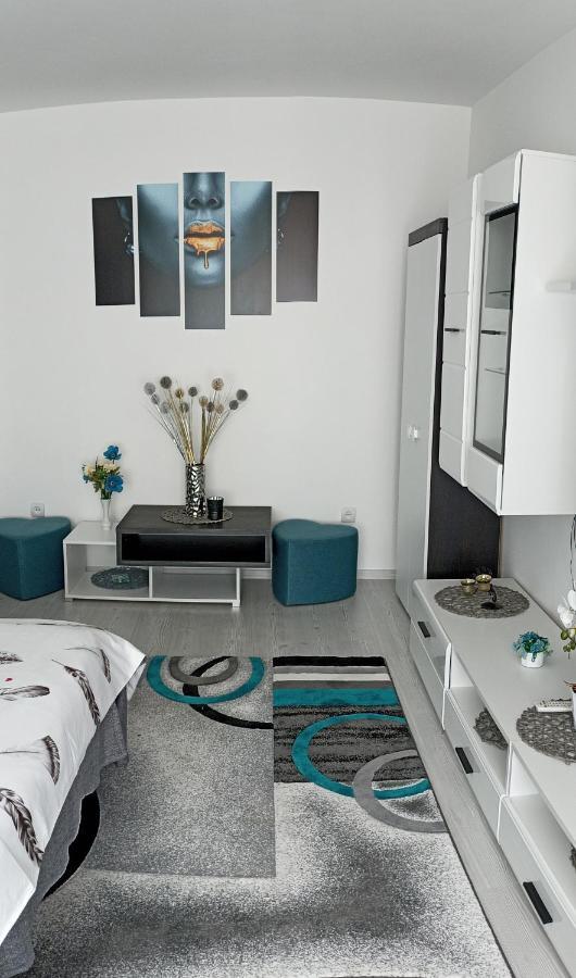 Apartament Sofy2 Băile Herculane Extérieur photo