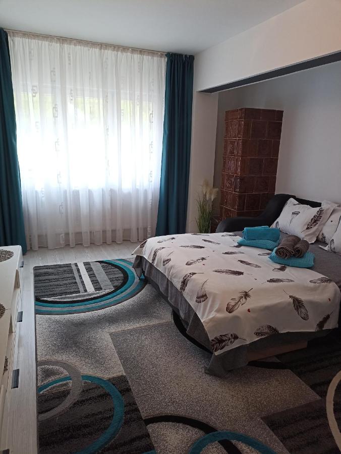 Apartament Sofy2 Băile Herculane Extérieur photo