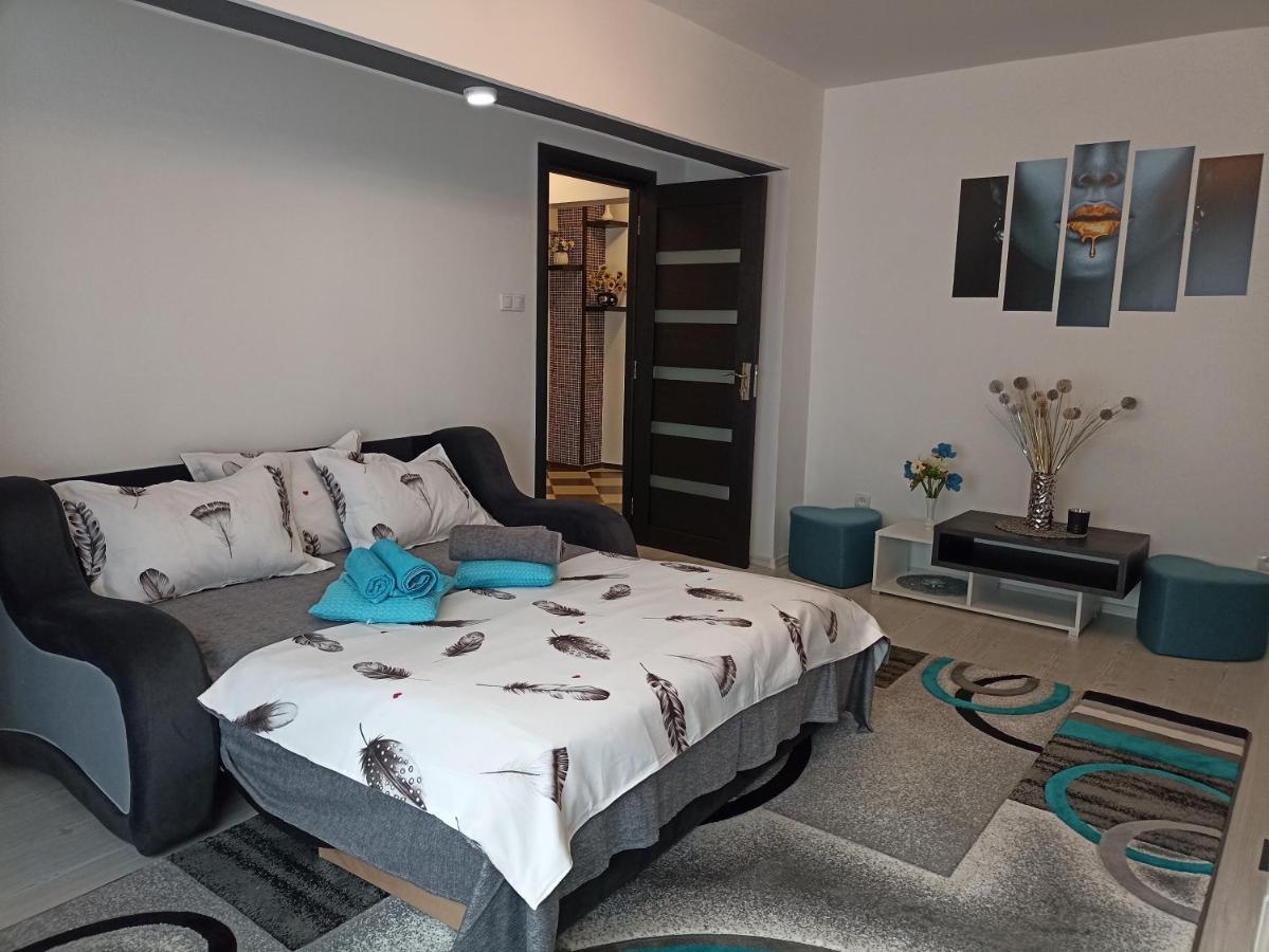 Apartament Sofy2 Băile Herculane Extérieur photo