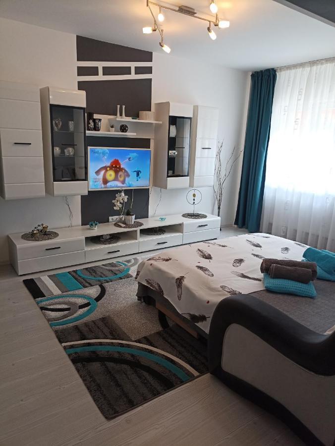 Apartament Sofy2 Băile Herculane Extérieur photo