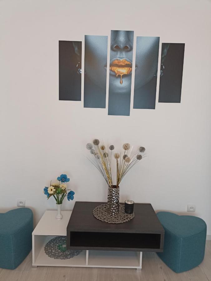 Apartament Sofy2 Băile Herculane Extérieur photo