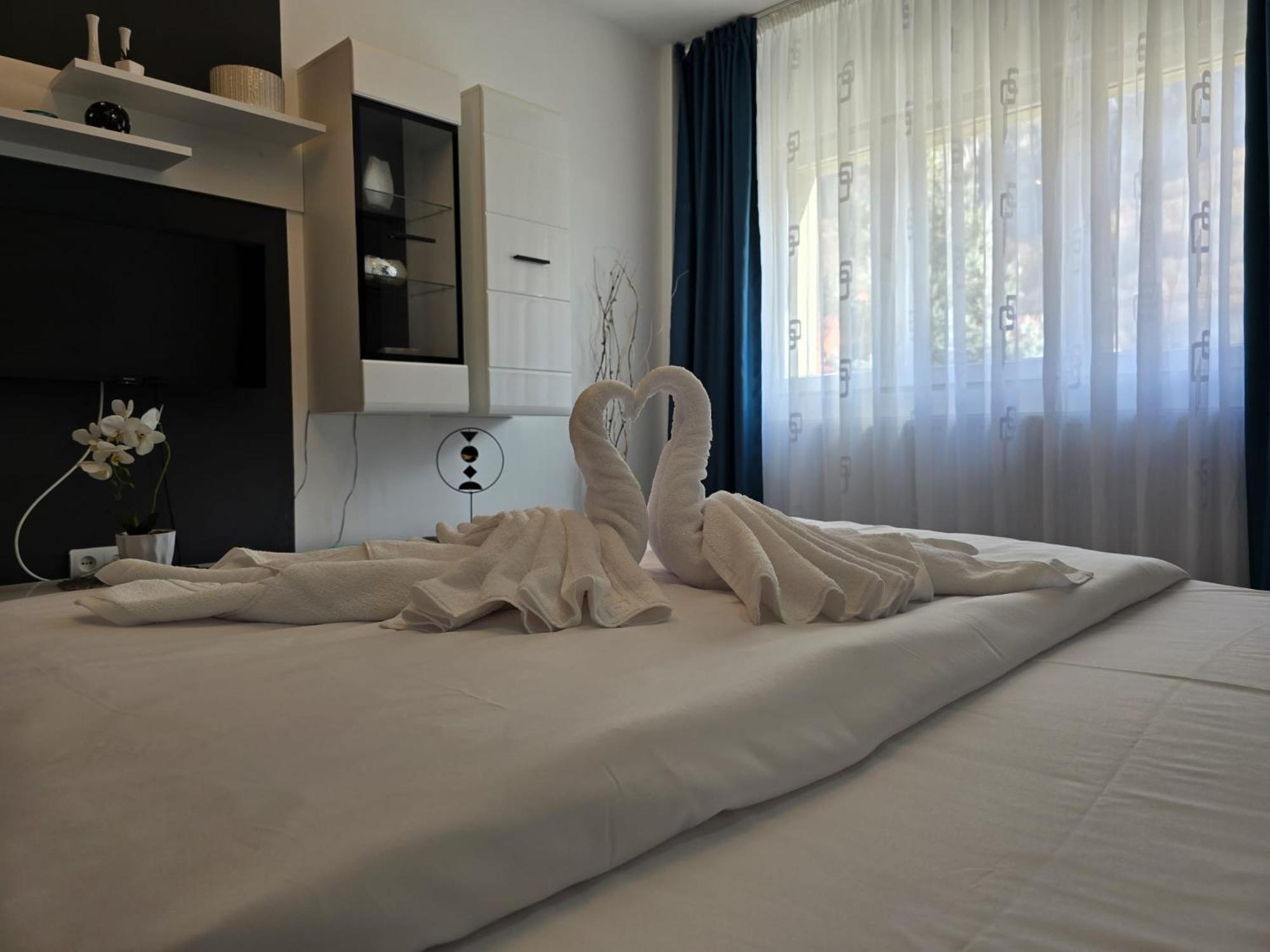 Apartament Sofy2 Băile Herculane Extérieur photo